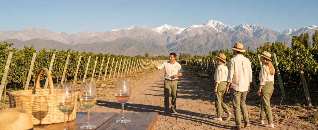 Best Mendoza Wine Tours: How to Choose the Right One