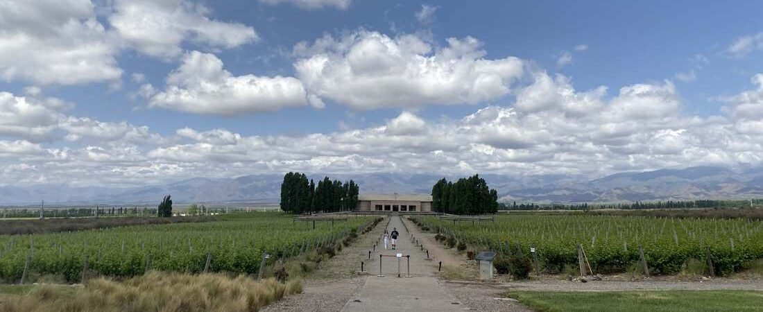 Best Wineries in Mendoza, Argentina: The Complete List