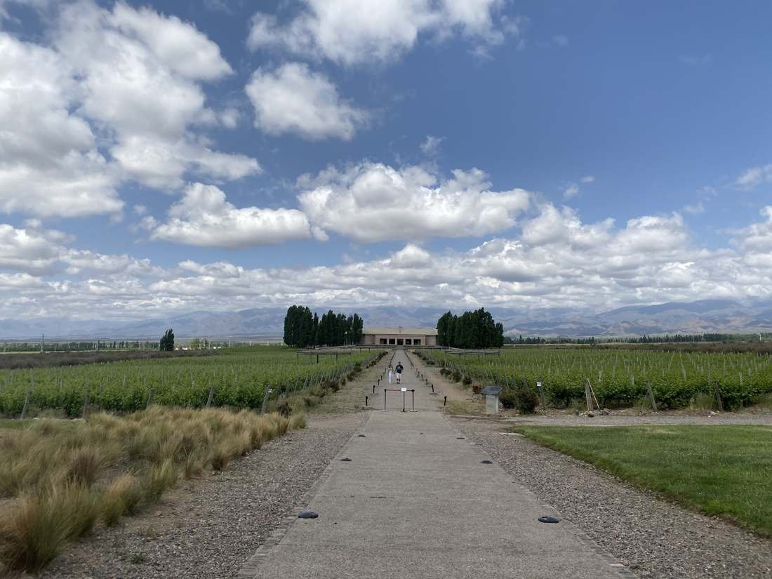 Best Wineries in Mendoza, Argentina: The Complete List