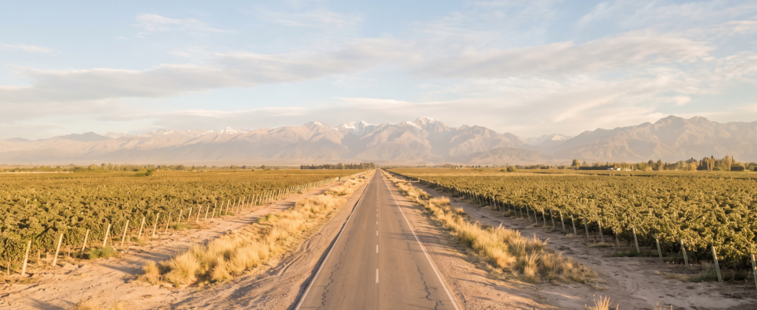 How to Get from Buenos Aires to Mendoza: Flights, Bus & Tours