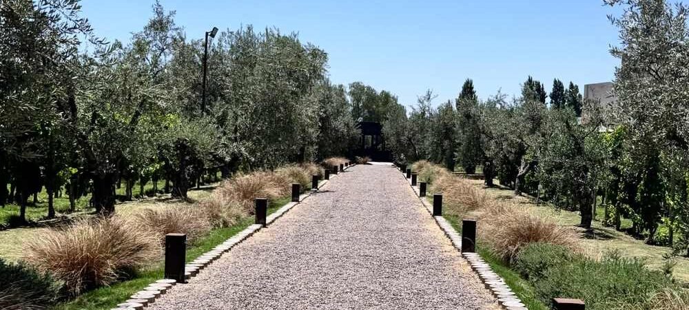 Best Time to Visit Mendoza: A Season-by-Season Weather Guide