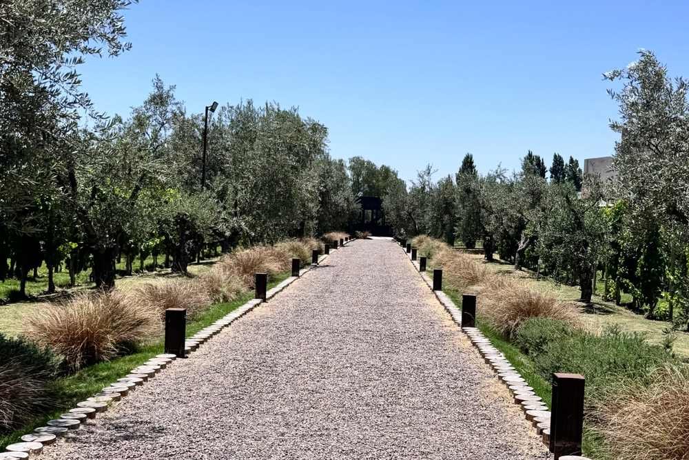 Best Time to Visit Mendoza: A Season-by-Season Weather Guide
